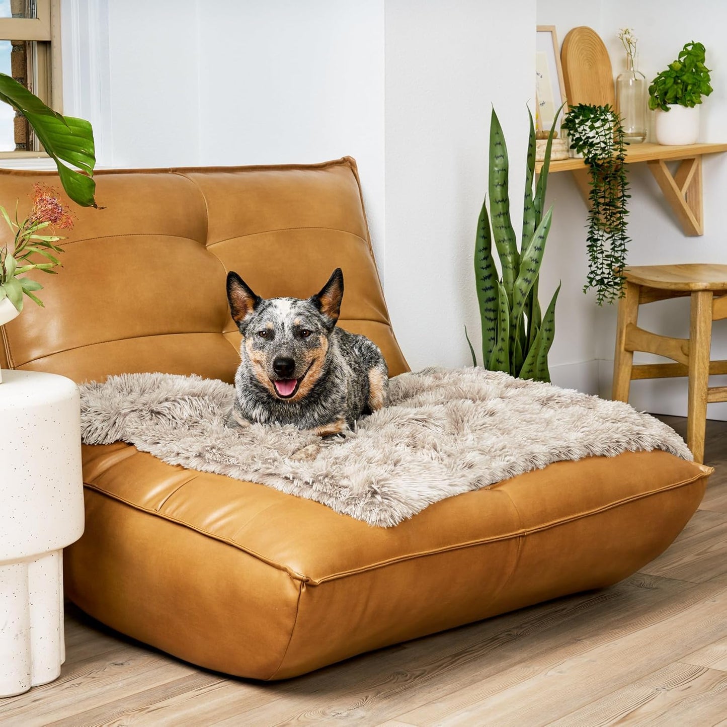 Furhaven Waterproof Throw Blanket for Dogs & Indoor Cats, Washable - Shaggy Plush Calming Long Faux Fur & Velvet Dog Blanket - Driftwood, Medium