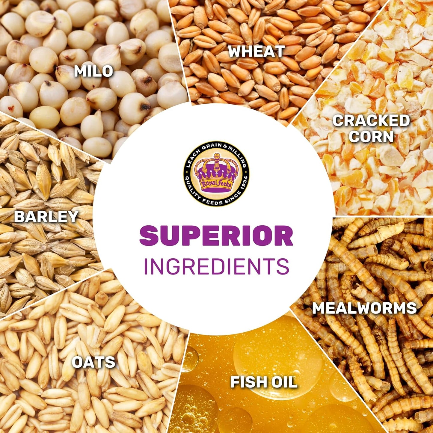 Scratch & More Chicken Feed - Enriched 5-Grain Mix with Mealworms & Fish Oil