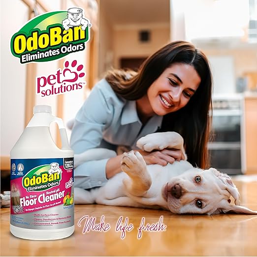 OdoBan Pet Solutions No Rinse Neutral pH Floor Cleaner Concentrate, Made in the USA, Splash O' Citrus Scent, 2 Gallons