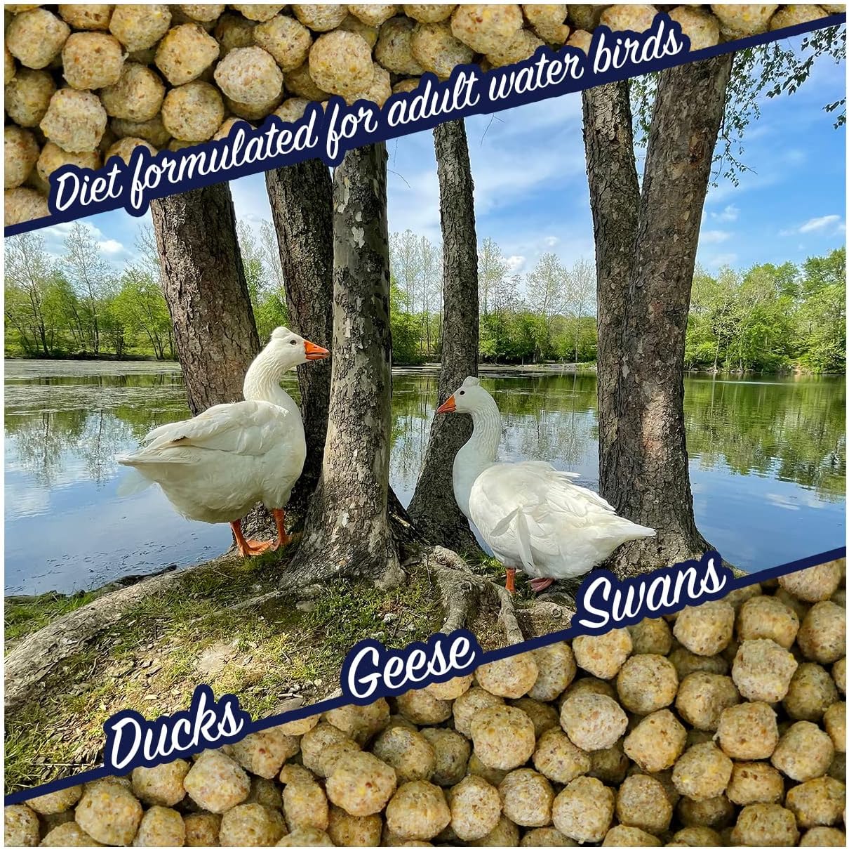 Natural Waterscapes Waterfowl Feed Open Water Diet 40 lb | for Feeding Ducks Geese Swans | Floating Pellets with Niacin for Ducks