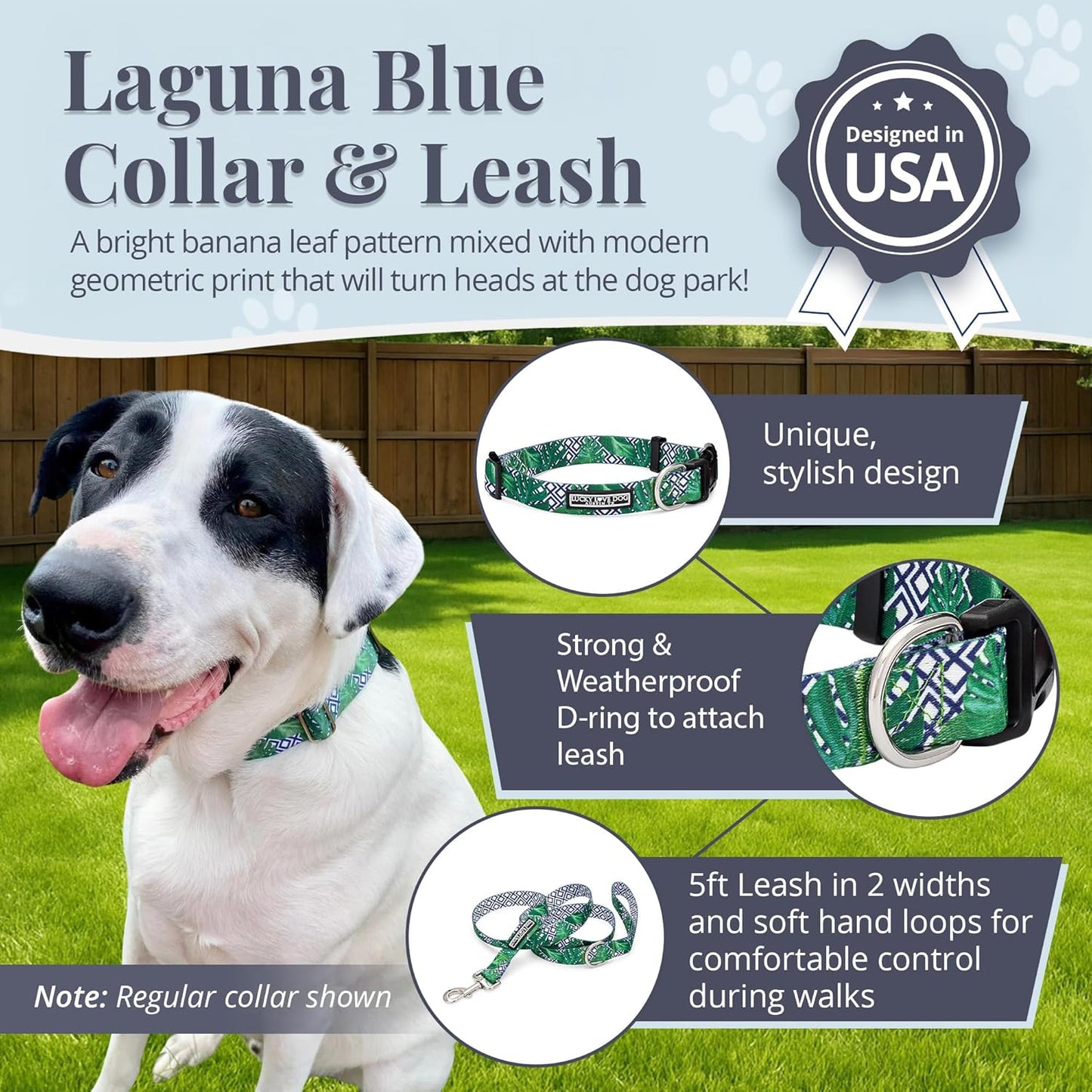 Lucky Love Dog Collar and Leash Set, Beautiful & Vivid Patterns, Easy On & Off Clasp Accessory (Blue Laguna, L Combo)