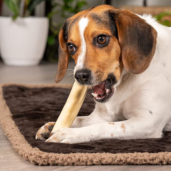 Pet Factory American Beefhide 5" Chip Rolls Dog Chew Treats - Natural Flavor, 16 Count/1 Pack