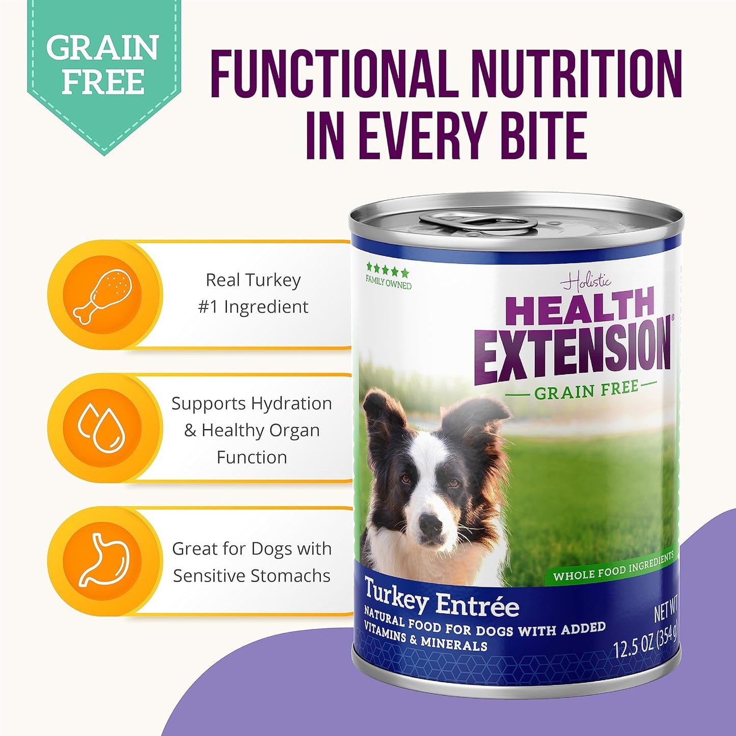Health Extension Turkey Entrée Wet Dog Food Grain-Free, 12.5 oz – Protein-Rich Recipe, Hydration Support, Ideal for Sensitive Stomachs (Case of 12 Cans)