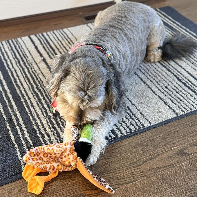 SPOT Skinneeez Mini Mallard Duck 13 Inch Stuffing-Free Plush Squeaky Dog Toy – Soft Interactive Toy for Small and Medium Dogs – Mess-Free Play for Light & Moderate Chewers – Assorted Styles