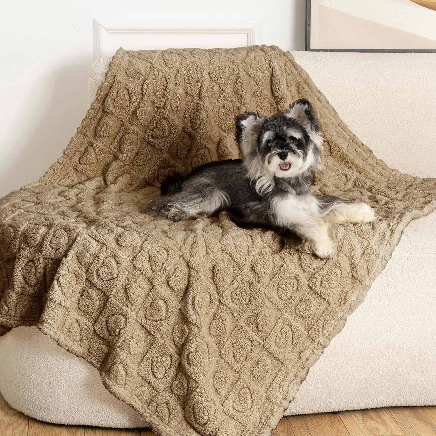 gogobunny Calming Plush Dog Cat Blanket 300GSM Coral Fleece, Ultra-Soft Machine Washable Pet Bedding for Small Medium Dogs Cats Puppies Kittens (Brown, 40x50)