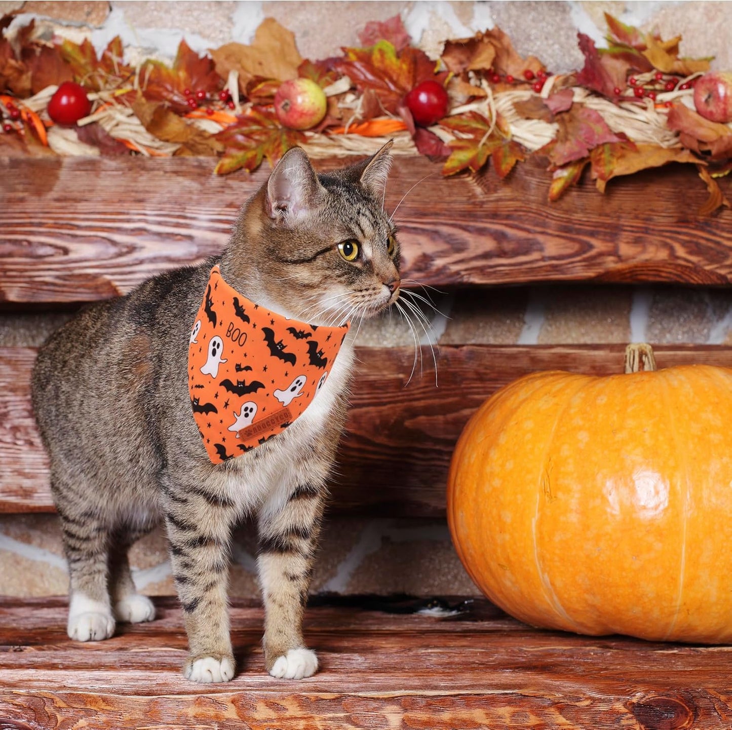ADOGGYGO Halloween Cat Bandanas 2 Pack, Bat Ghost Cat Scarf, White Orange Pet Halloween Bandanas for Cats Kittens