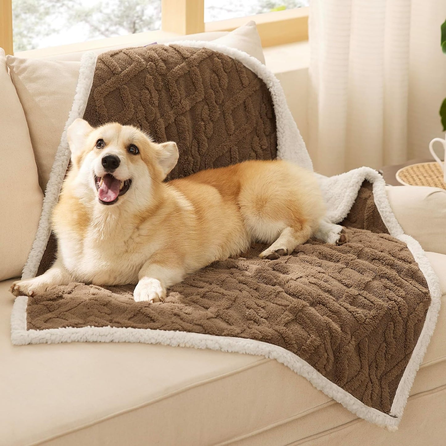 Bedsure Waterproof Dog Blankets for Medium Dogs - Pet Blanket for Couch Protector Washable, Premium Jacquard Coral Fleece Cat Throw Blanket, Soft Plush Reversible Furniture Protection,30"x40", Taupe