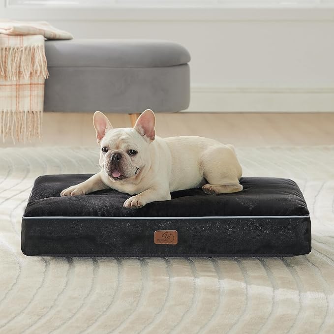 Bedsure Washable Dog Bed Medium Size Dog - 3 Inch Thicken Up to 45lbs Pet Mat Pillows with Removable Washable Cover, Black