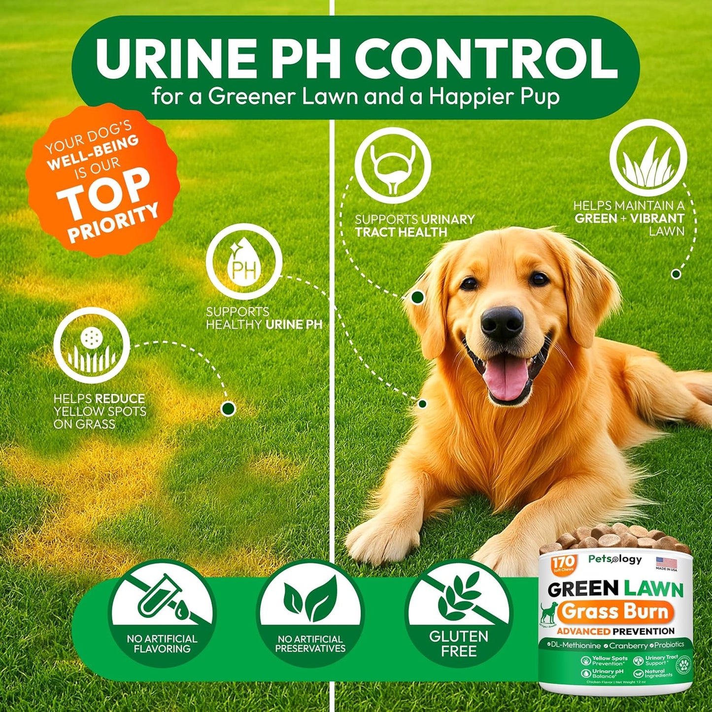 Dog Urine Neutralizer for Lawn - 170 Green Lawn Chews for Dogs - Pee Grass Burn Spot Saver Caused by Dog Urine with Probiotics & Digestive Enzymes - Advanced Gut Health Supplement, Rocks