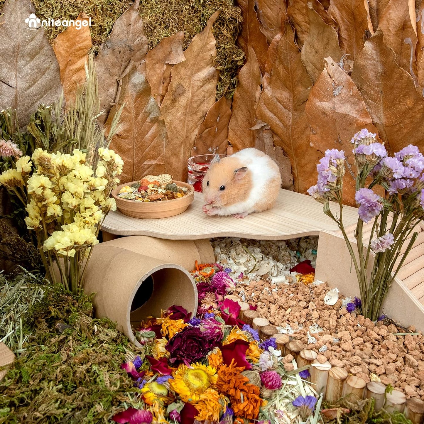 Niteangel Hamster Play Wooden Platform for Dwarf Syrian Hamsters Gerbils Mice Degus or Other Small Pets (Triangle - 4.7'' Height, Burlywood)