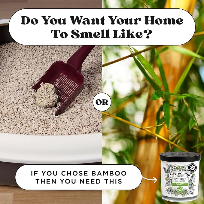 Pet-Pourri Purrfectly Bamboo Cat Deodorizer Candle – Cat Safe Plant Based Ingredients & Wax – Vet Approved – Aromatherapy & Air Freshener for Kitty Odor – Scented with Bamboo, Jasmine & Pear