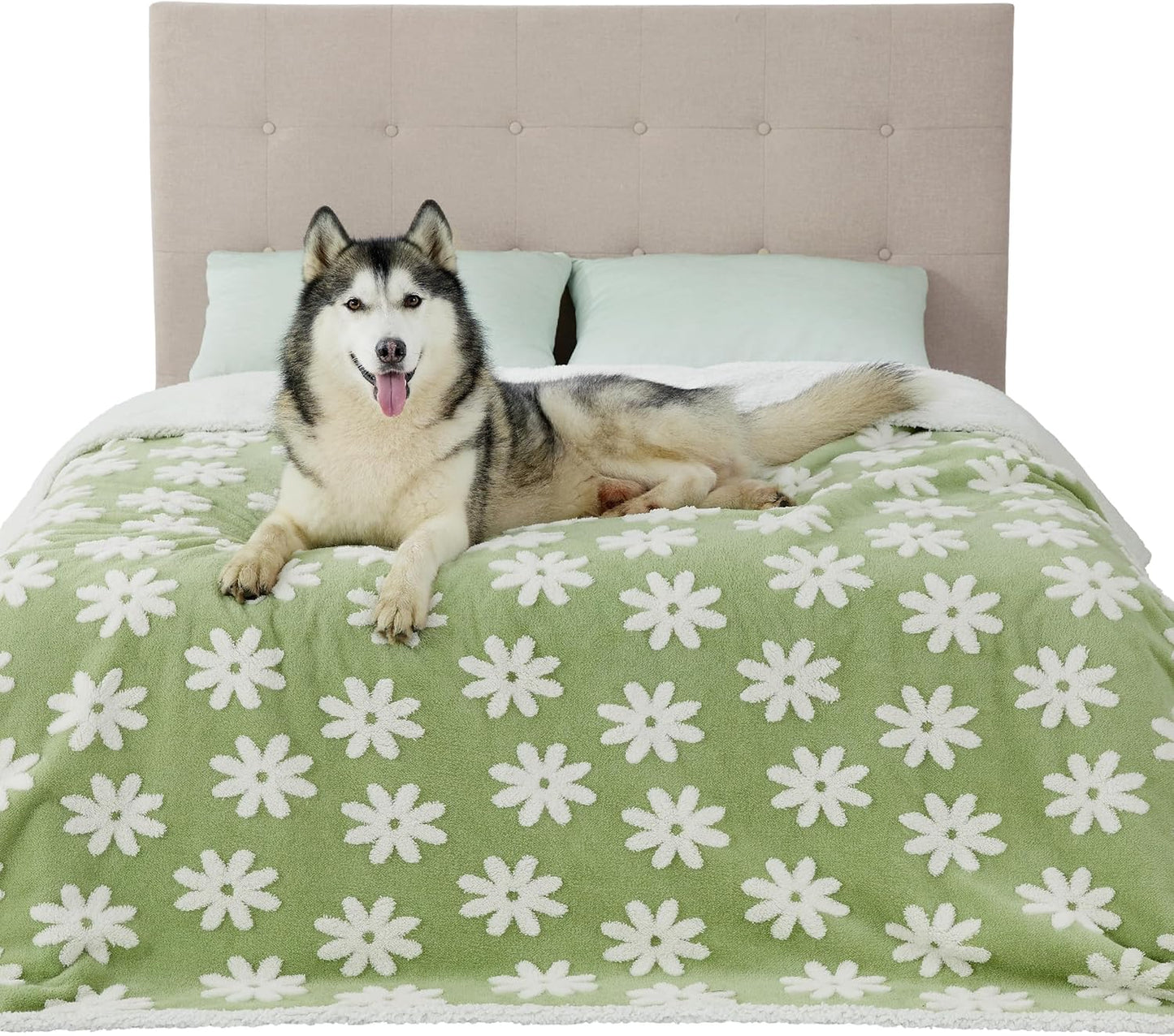 Lesure Waterproof Dog Blanket for Large Dogs - Washable Double Sided Dog Blankets with Warm Jacquard Shag and Soft Sherpa Fleece, Pet Cat Blanket for King Bed Protection, 3D Textured Flower, Green