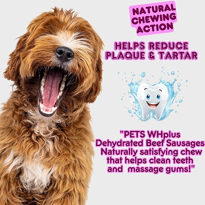 Beef Sausages Dog Treats, 100% Natural, 6" (5 Count) – Rawhide-Free, Long-Lasting Chews – Grass-Fed, High Protein, Single Ingredient, Grain-Free, Easily Digestible, Low Fat