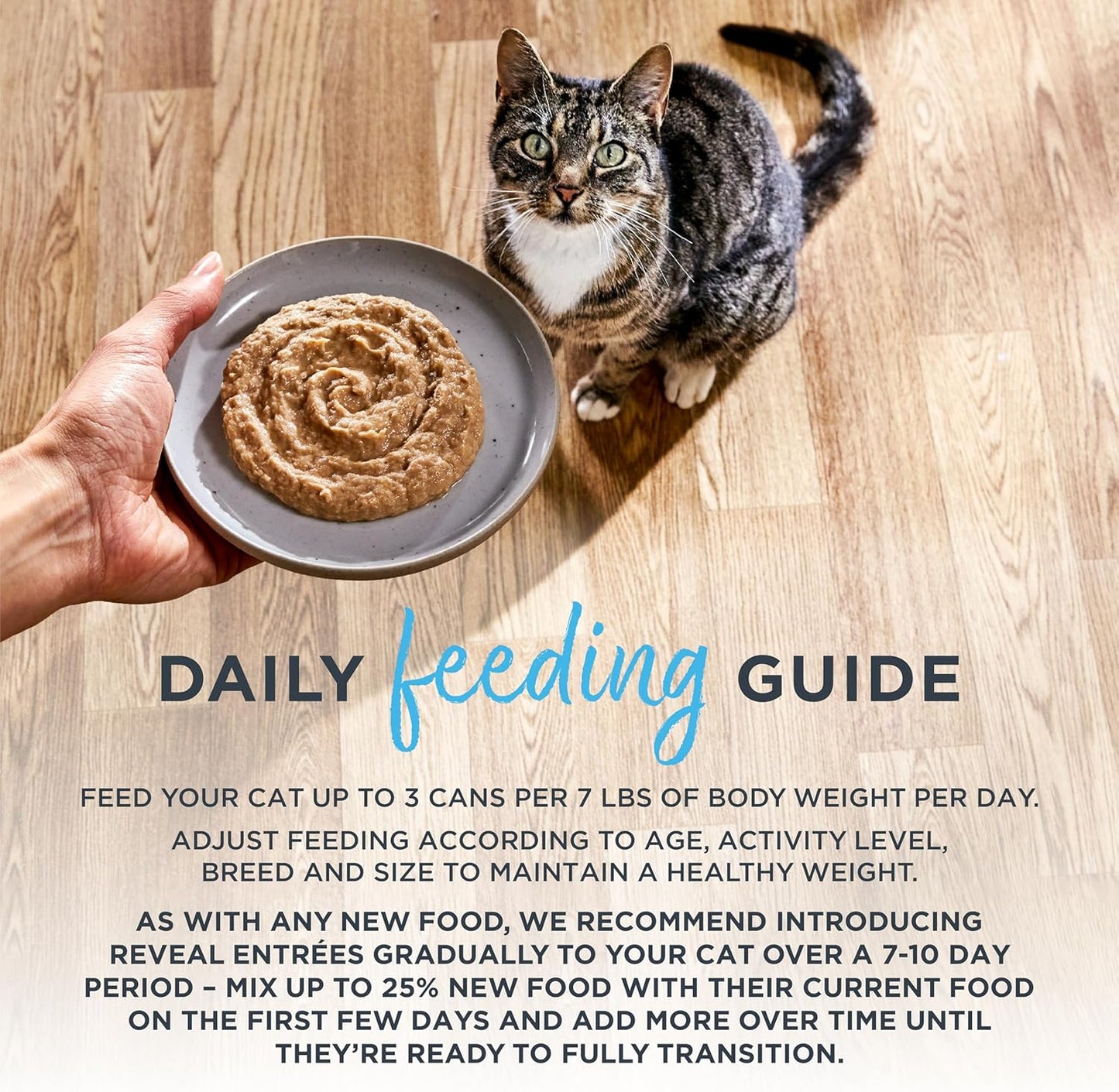Reveal Entrées Natural Wet Cat Food Paté, Grain-Free with Added Vitamins & Minerals, Carrageenan-Free Protein, Tuna Fillet Paté Recipe (24 x 2.47 oz Cans)