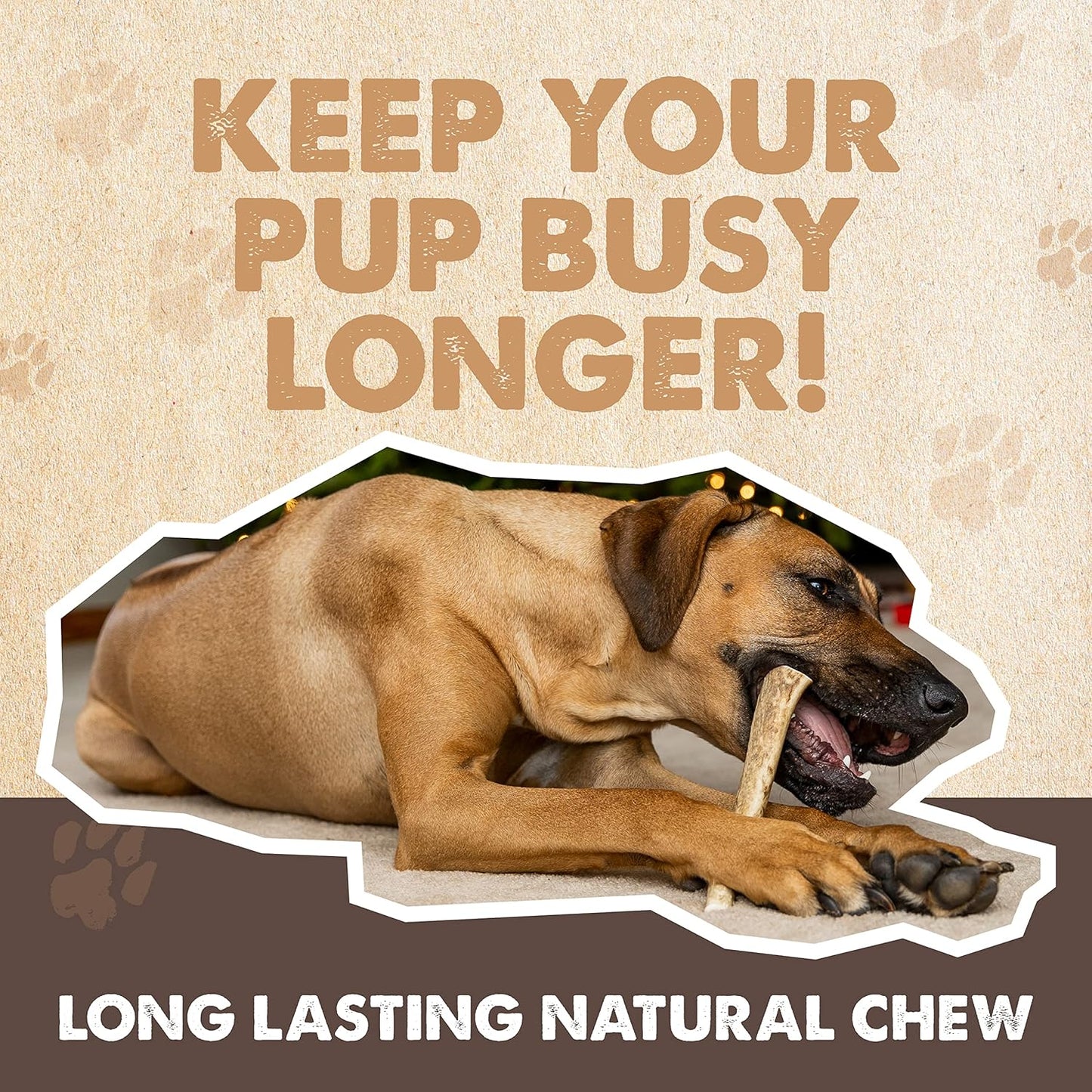 Mighty Paw Split Elk Antlers for Dogs (Sourced in The USA) | 1 Whole Medium 6"+ Long Lasting Bones for Aggressive Chewers - Naturally Shed Split Deer Antler for Dogs - Low Odor Chews (Pack of 1)