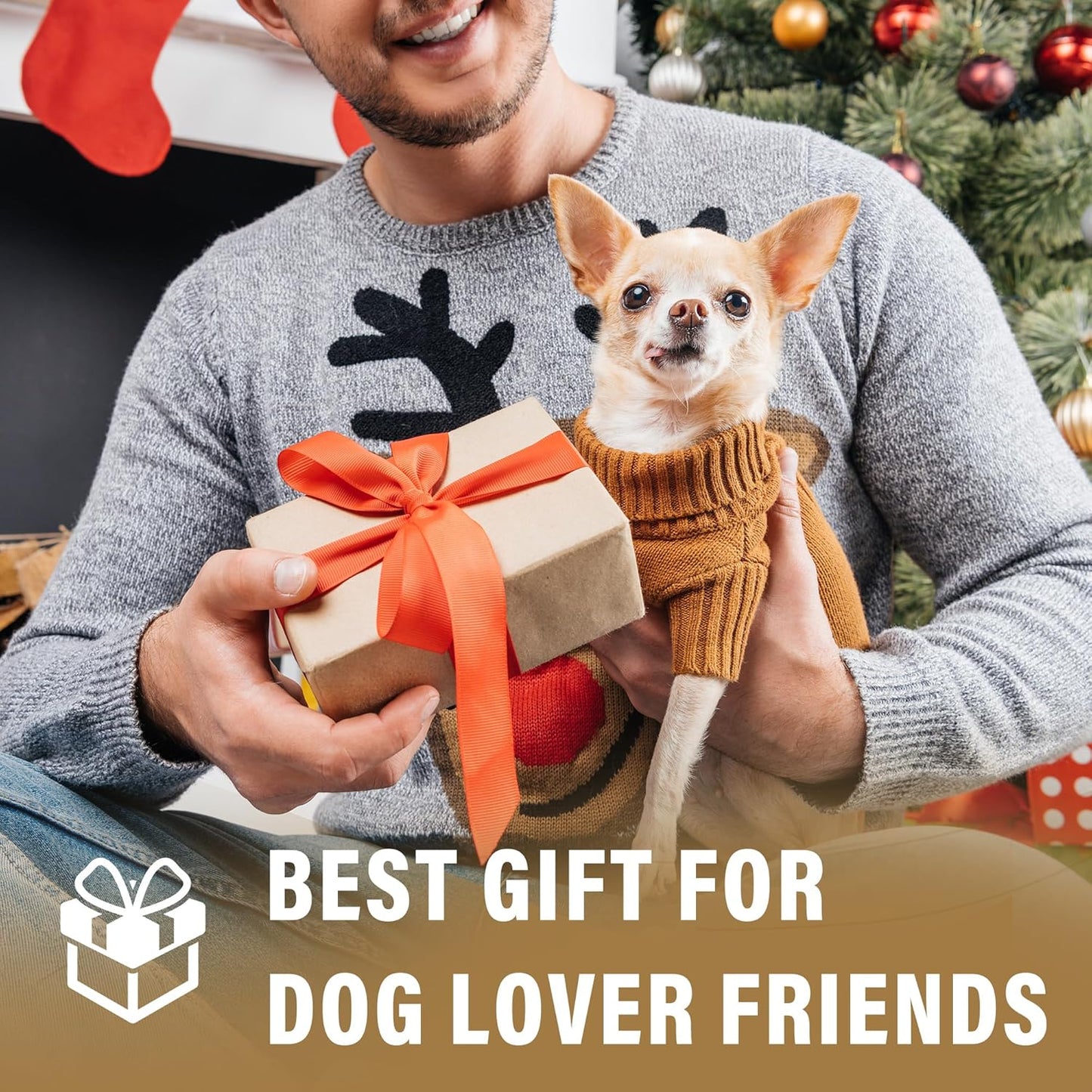 Dogs Feeding Reminder Sign with Magnet, Pet Feeding Tracker with The Dog Ate, Acrylic Dog Paw 2 Area Feed Sign with Breakfast and Dinner for Fridge, Black with 2 Stickers, 4.7" x 2.7"