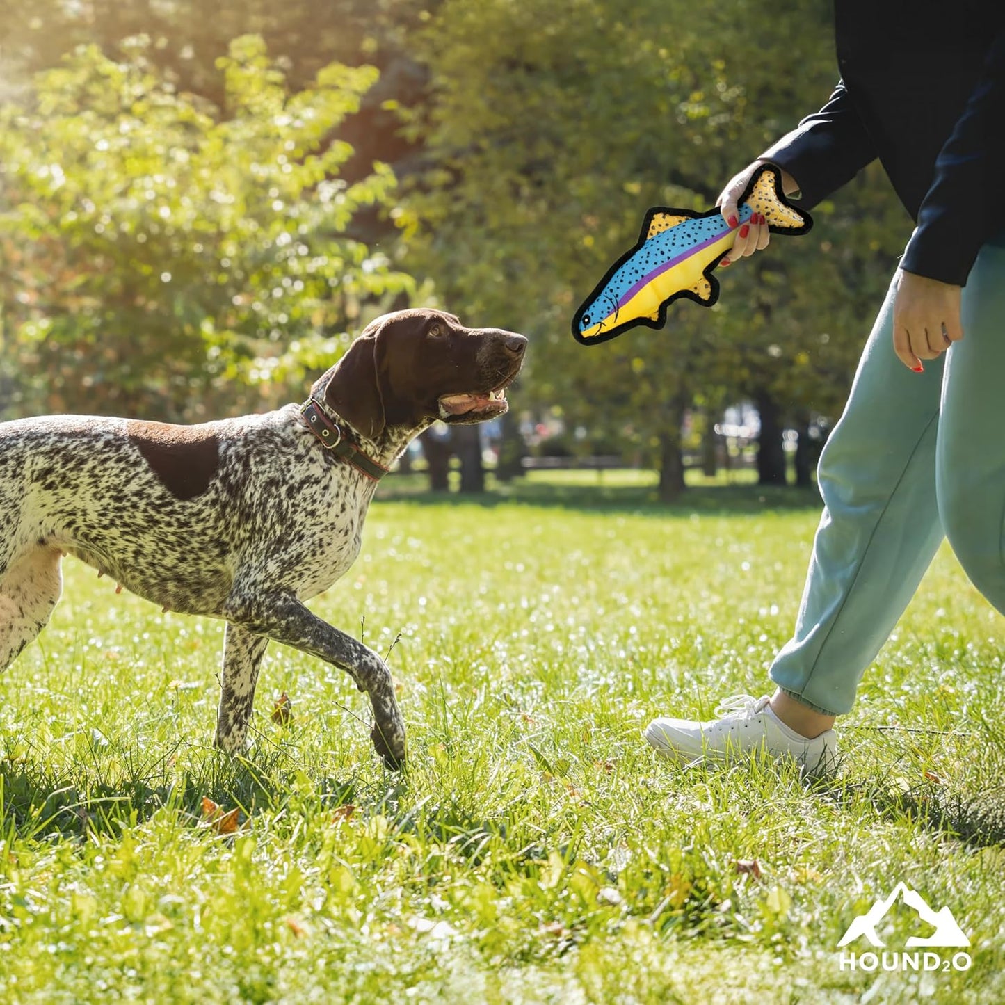 Dog Toys | Plush Toy Fish Trout Stuffed Animal for Dogs | Outdoor Toy - Easy to Clean and Made from Non Toxic Materials