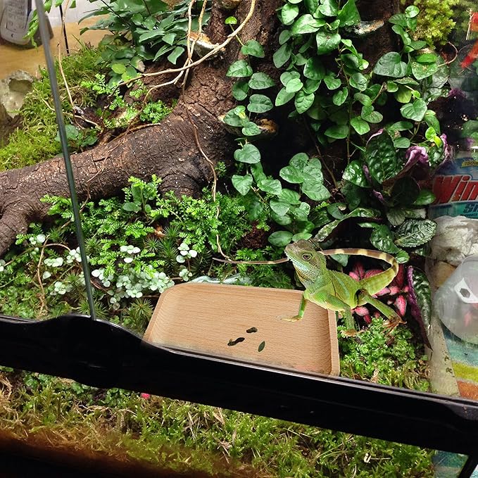 1 Pcs Leopard Gecko Potty Pad,Crested Gecko Potty Latrine，Leopard Gecko Tray，Reptile Litter Box，Portable Gecko Tank Accessories(Beech)