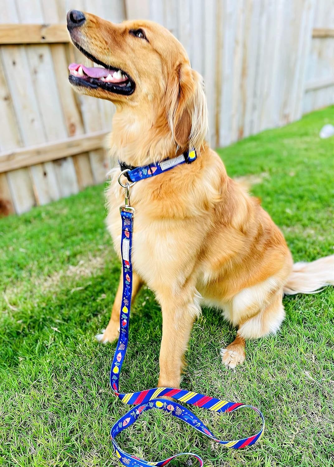 Lucky Love Dog - Easy Click Buckle Dog Collar with Leash Set Combo, Durable & Comfortable for Male & Female Dogs, Pet Collar for Small to Large Dogs, Secure Fit - Mackey Combo, XS