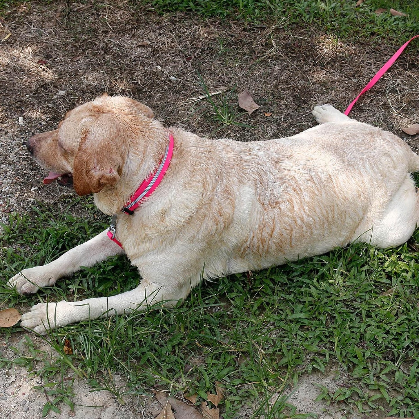 NIMBLE Dog Collar Waterproof Pet Collars Anti-Odor Durable Adjustable PVC & Polyester Soft with Reflective Cloth Stripe Basic Dog Collars S/M/L Sizes (Medium (11.81”-18.5”inches), Pink)