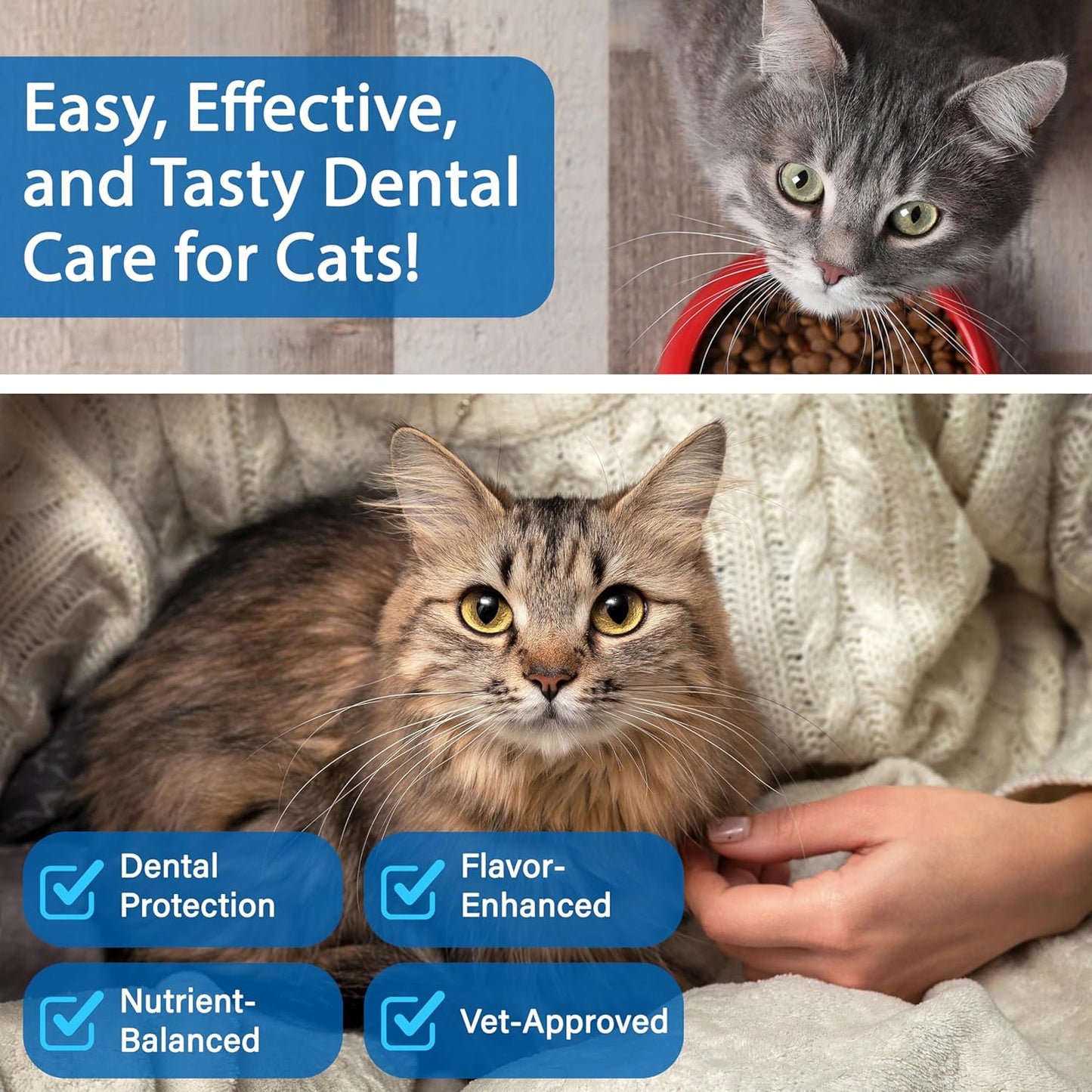Cat Dental Care Powder Bad Breath Treatment for Cats Teeth, Mouth, Gums & Gut, Plaque Off,Tartar Control, Help Feline Gingivitis and Stomatitis, with Natural Extracts & Probiotics