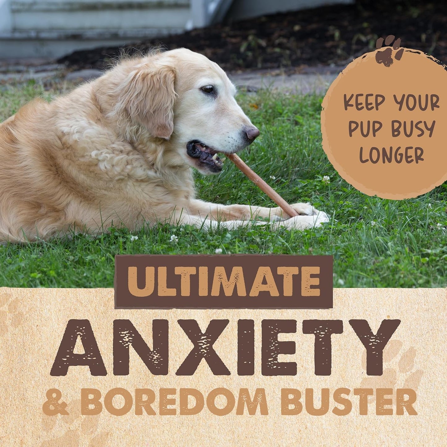 Mighty Paw Naturals Bully Sticks for Small & Medium Dogs - Grass Fed Beef Chews. Bully Sticks for Large Dogs. Lower Odor Stick Treat. Single Ingredient (6" - 5 Pack)