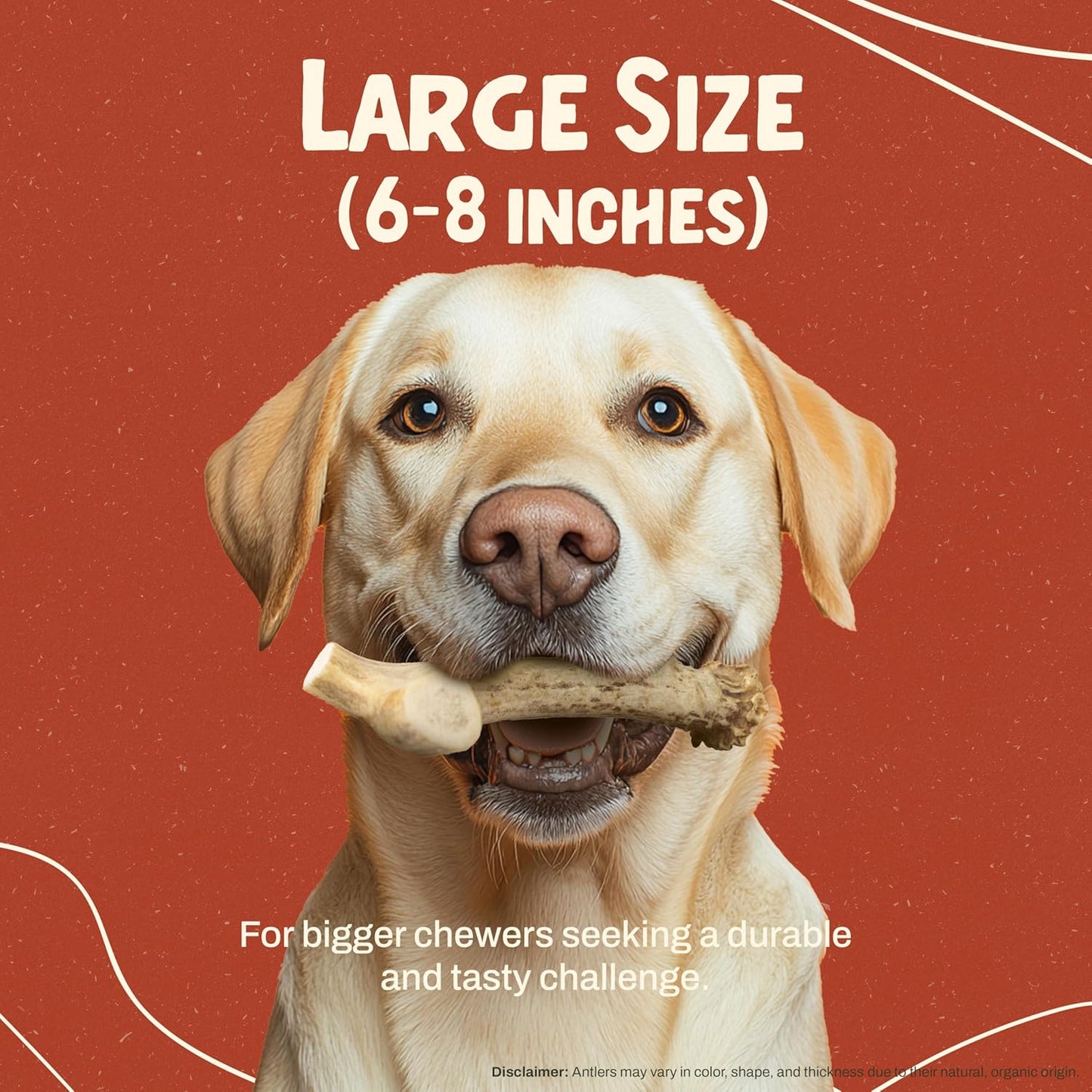 Heartland Deer Antlers for Dogs - Daily Dental Care Chews for Aggressive Chewers to Reduce Plaque & Prevent Destructive Behavior (Large: 6-8", 2-Pack, Grade A, USA Made)