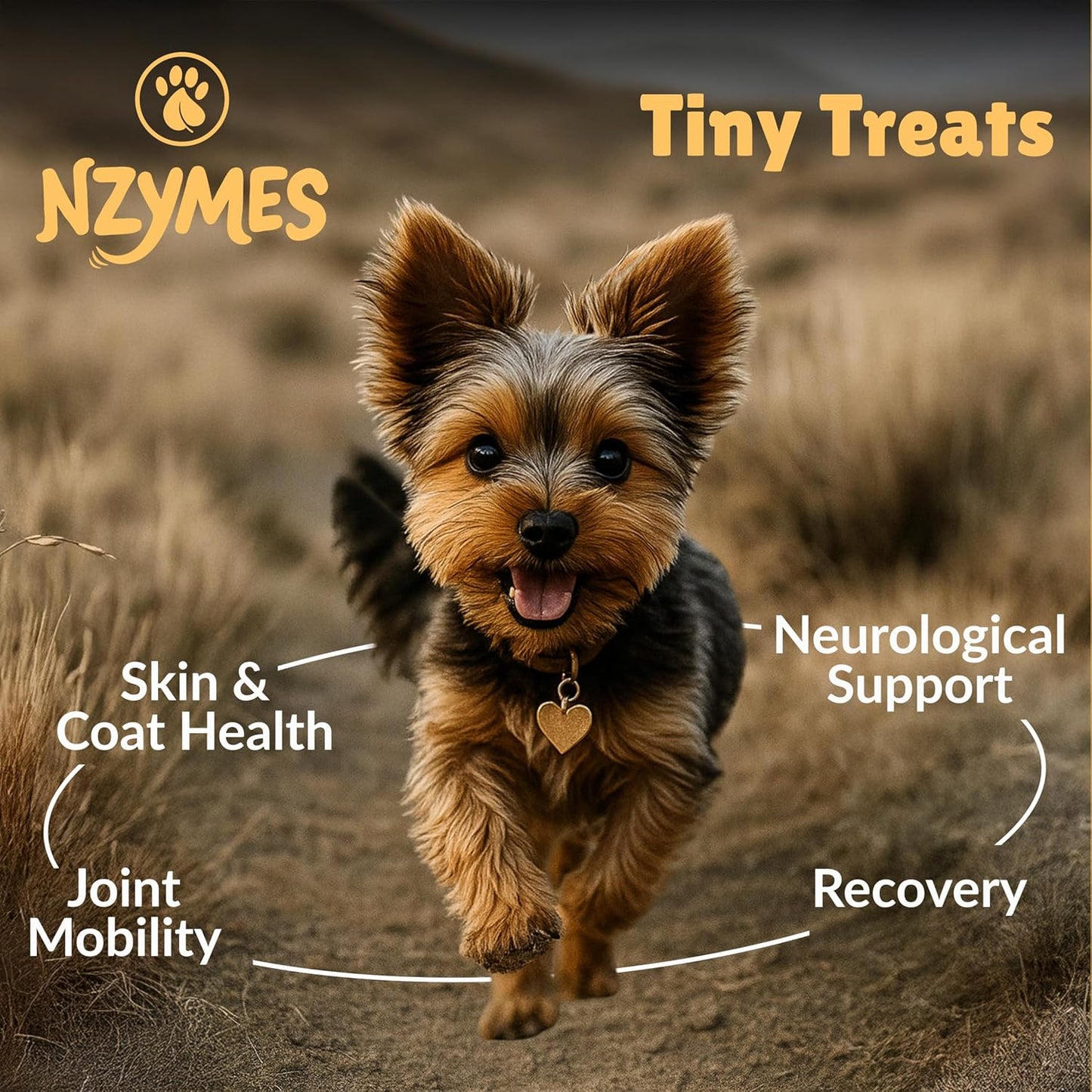 Nzymes® Antioxidant Tiny Treats - for Dogs Joints, HIPS, Paralysis, Skin, Coat, Hair Loss, Aging, Digestion, Seizures - Dog Treats for Small Dogs - 270 Treats - Made in The USA