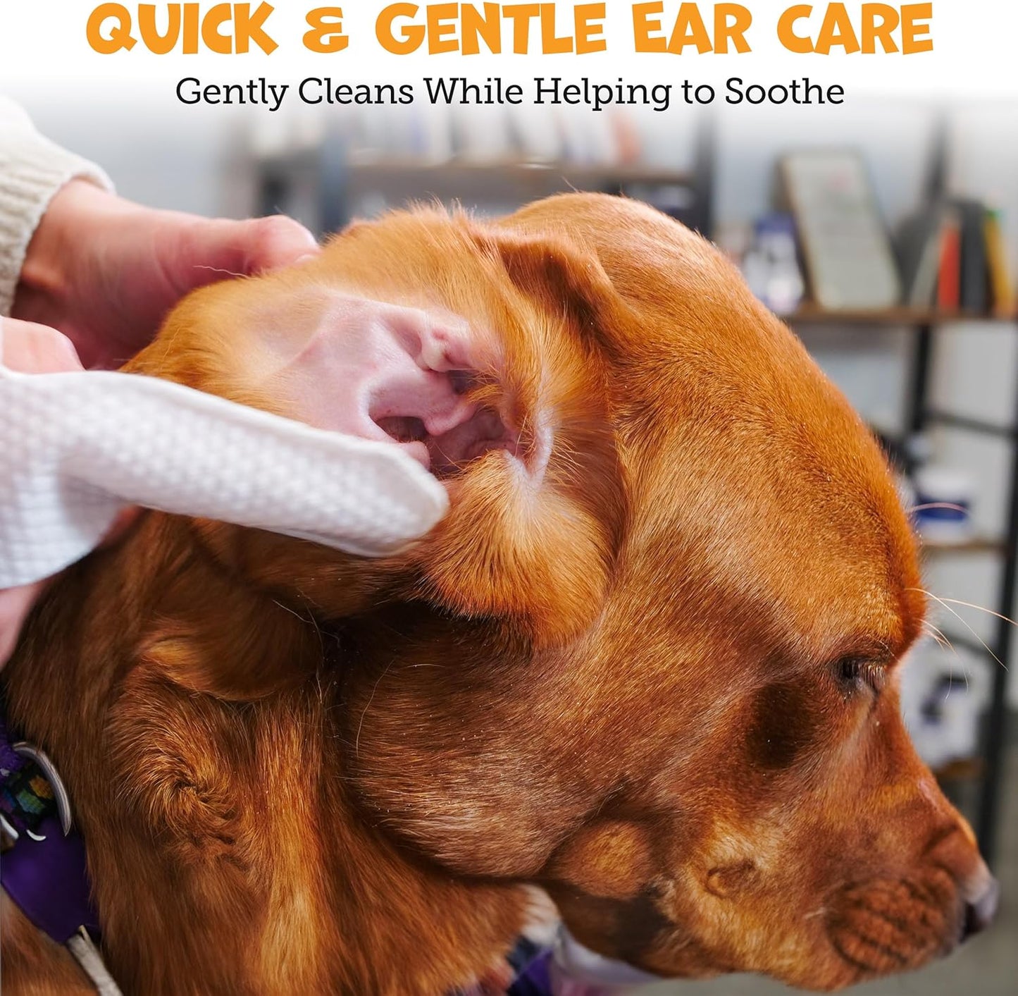 Finger Ear Wipes for Dogs with Aloe Vera and Eucalyptus - Convenient, Extra-Coverage, and Large Design Dog Ear Cleaning Wipes - Removes Wax and Freshens Ears - 50 Wipes