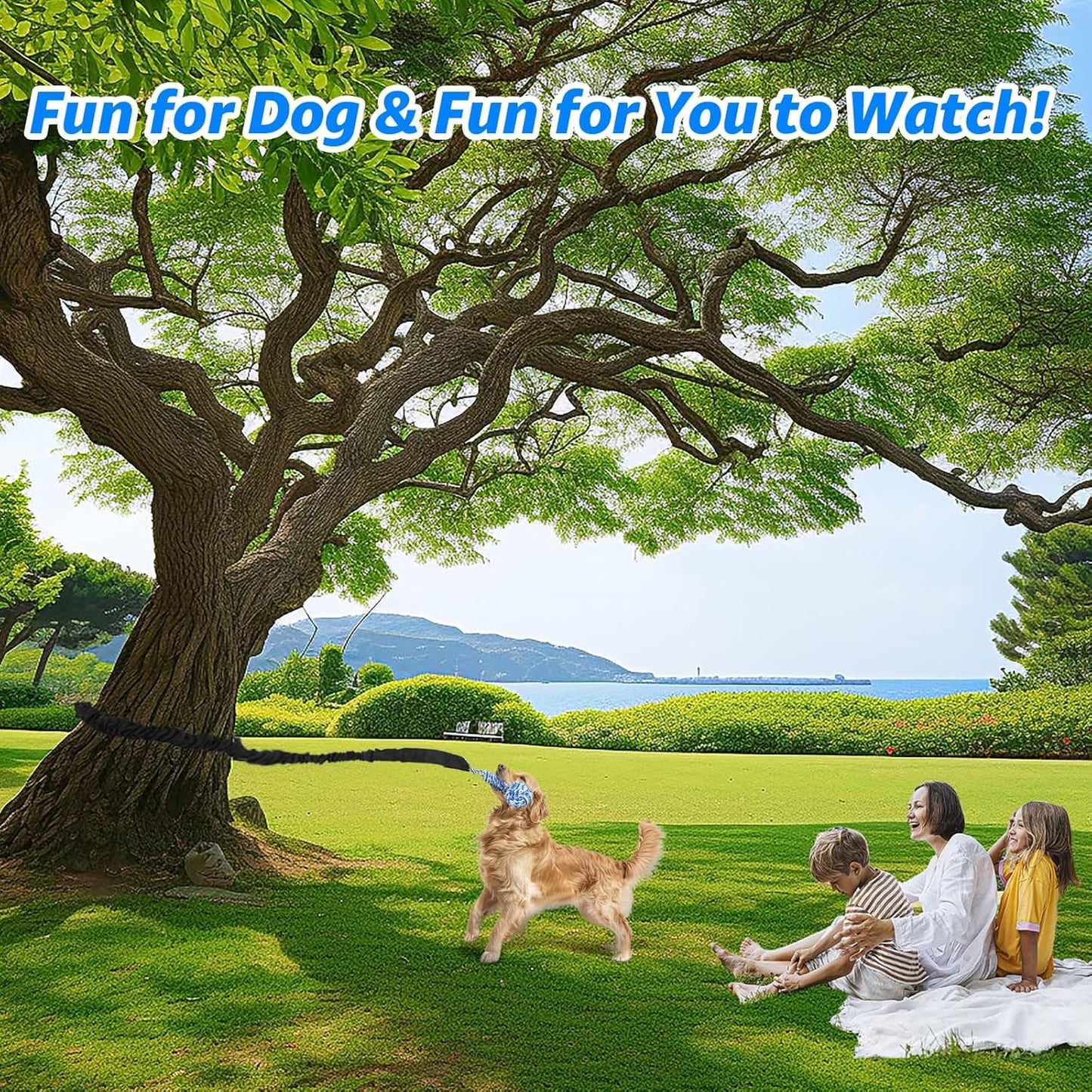 LOOBANI Spring Pole Dog Rope Toys - Tug of War Dog Toy for Pitbull Medium to Large Dogs, Indoor Outdoor Use Bungee Hanging Exercise Ropes Muscle Builder Interactive Toys (Door Hanging Style)