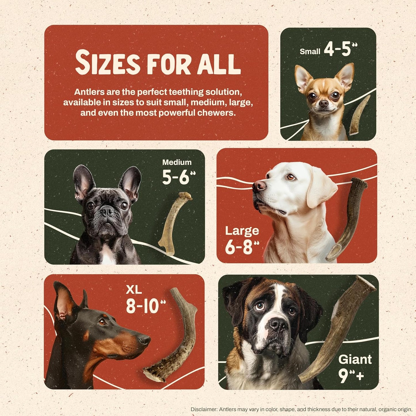 Heartland Deer Antlers for Dogs - Daily Dental Care Chews for Aggressive Chewers to Reduce Plaque & Prevent Destructive Behavior (Large: 6-8", 2-Pack, Grade A, USA Made)