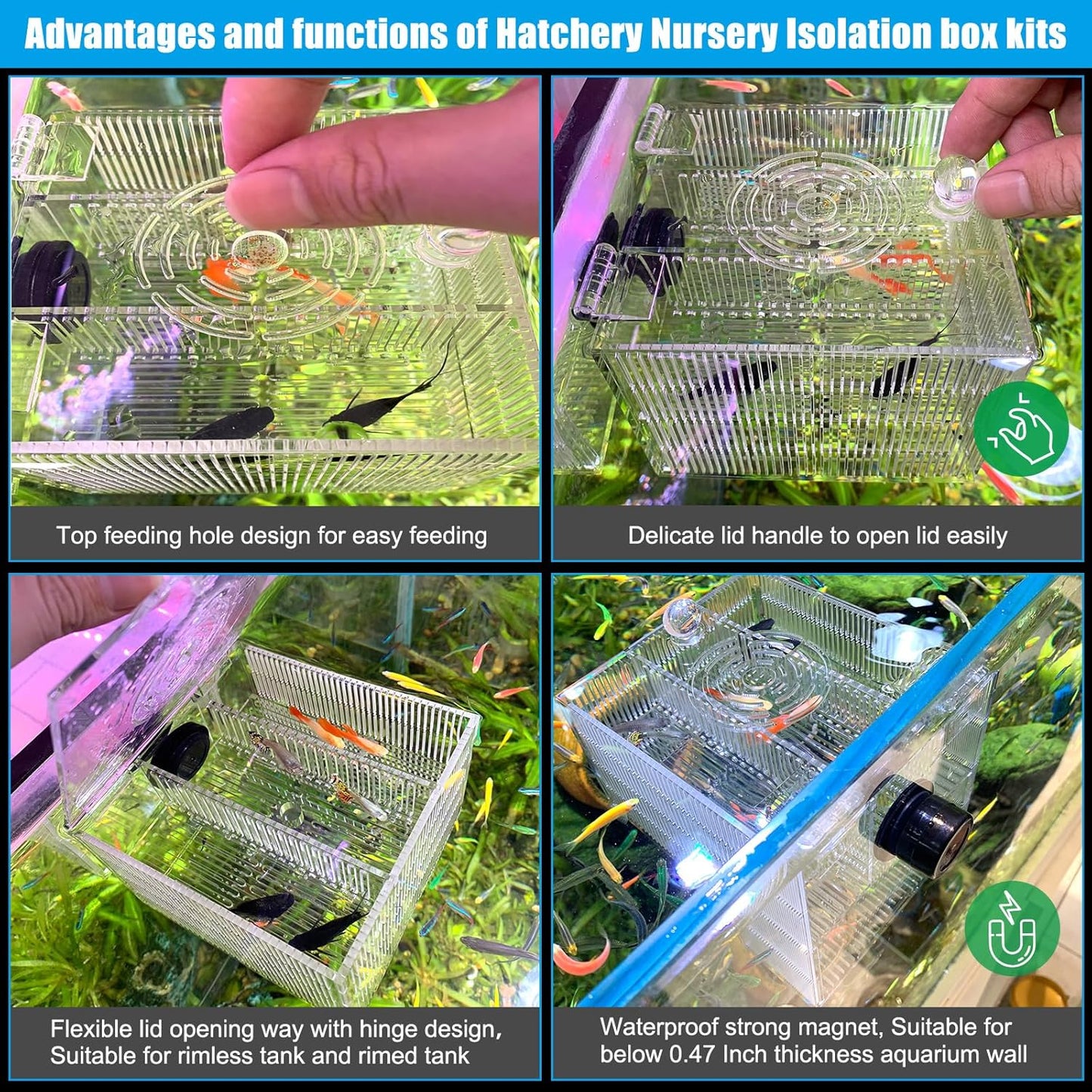 Magnetic Fish Breeder Box for Isolation Boxes Acclimation Hatchery breeding Incubator for Guppy Baby Betta Shrimp Saltwater Clownfish Coral Anemones Aggressive or Injured Fishes