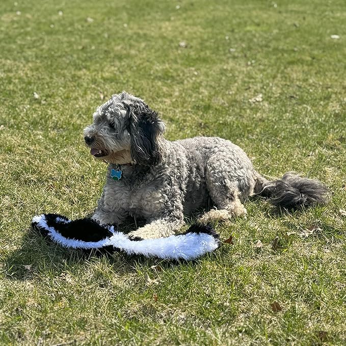 SPOT Skinneeez Skunk 23-Inch Stuffing-Free Plush Dog Toy – Realistic Design with 2 Squeakers – Durable, Soft Polyester for Medium & Large Dogs – Tug, Fetch & Shake Play – for Moderate Chewers
