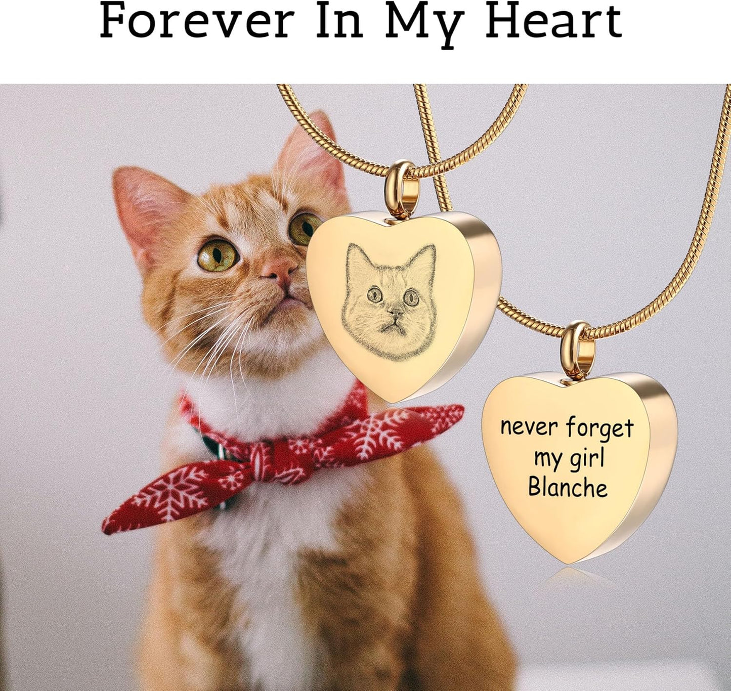 MeMeDIY Personalized Heart Paw Print Ashes Urn Pendant Necklace Custom Name/Photo/Date for Women Men Pet Lover Stainless Steel Memorial Dog Cat Pet Keepsake with Funnel Fill Kit Angel Wing