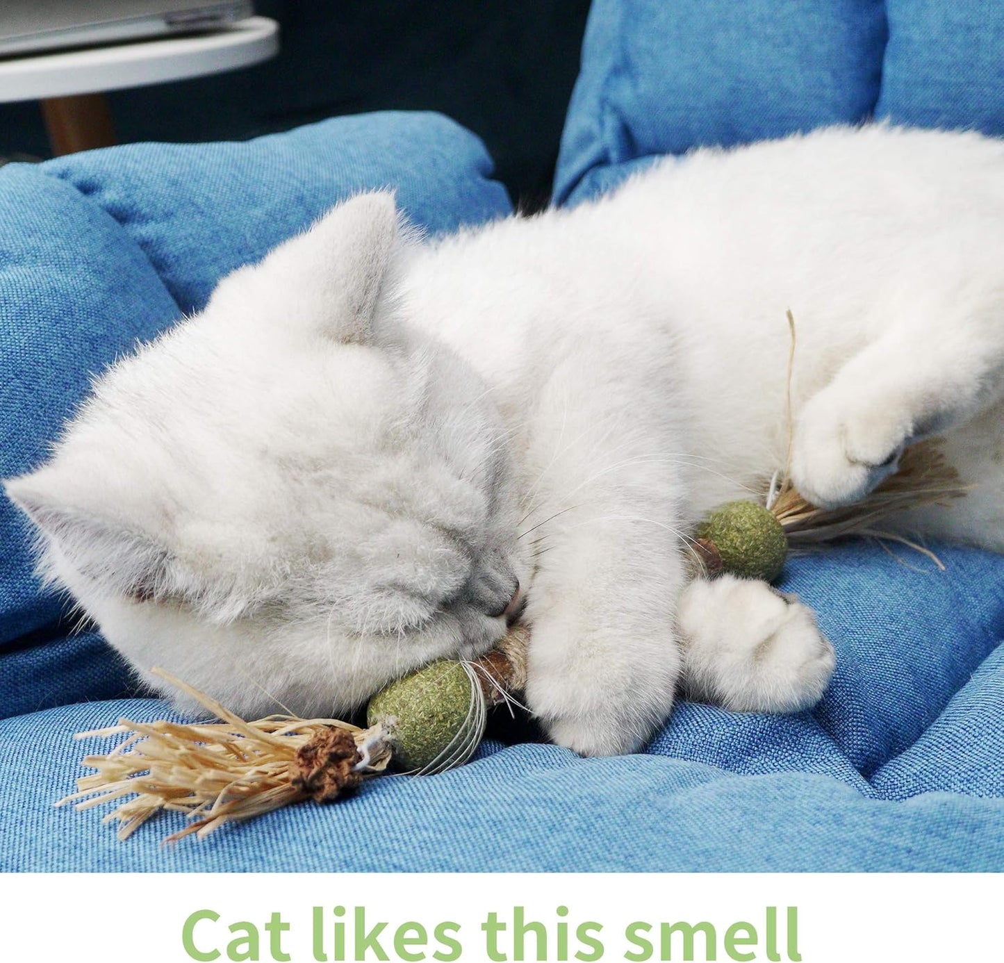 PAZ'S GIFT Catnip Toy Cat Toys Catnip Toy cat chew Toy cat Kicking silvervine Stick Teeth Cleaning Cute Kitten Teething Indoor Interactivecat Dental Care Matatabi (Catnip Balls)