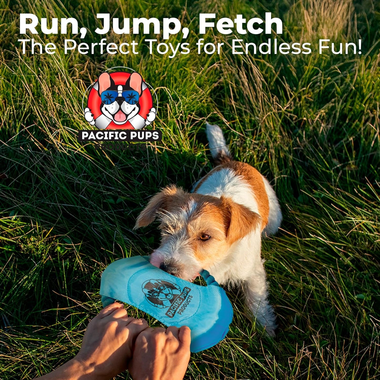 Pacific Pups Products Dog Rope Toys for Medium Dogs 11 Pack - 11 Dog Toy Pack & Puppy Teething Rope Tug of War Dog Toys, Chew Toys to Keep Them Busy, Puppy Chew Ropes