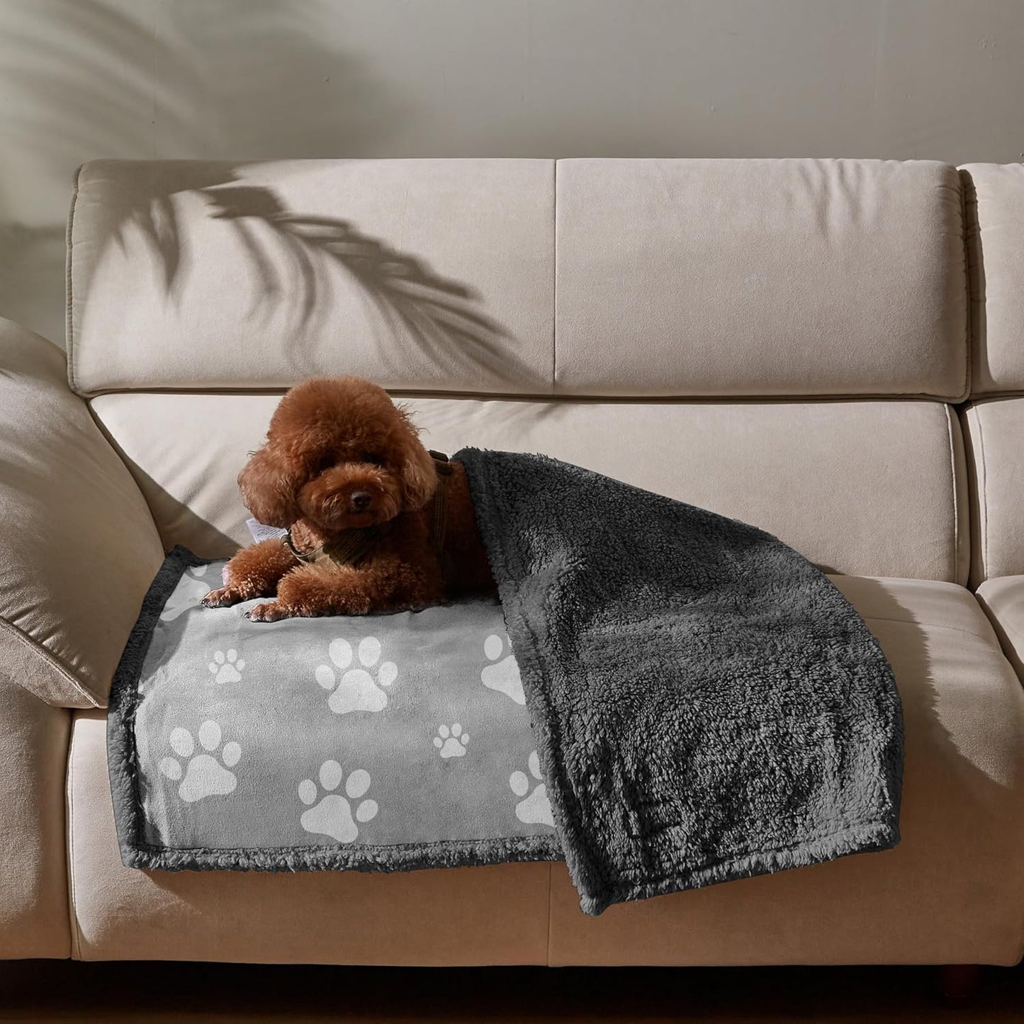 Kritter Planet Waterproof Dog Blanket, Reversible Water Proof Pet Blanket for Couch, Bed & Car, Washable Couch Covers for Medium Dogs - Protects Furniture from Fur, Dirt, and Accidents