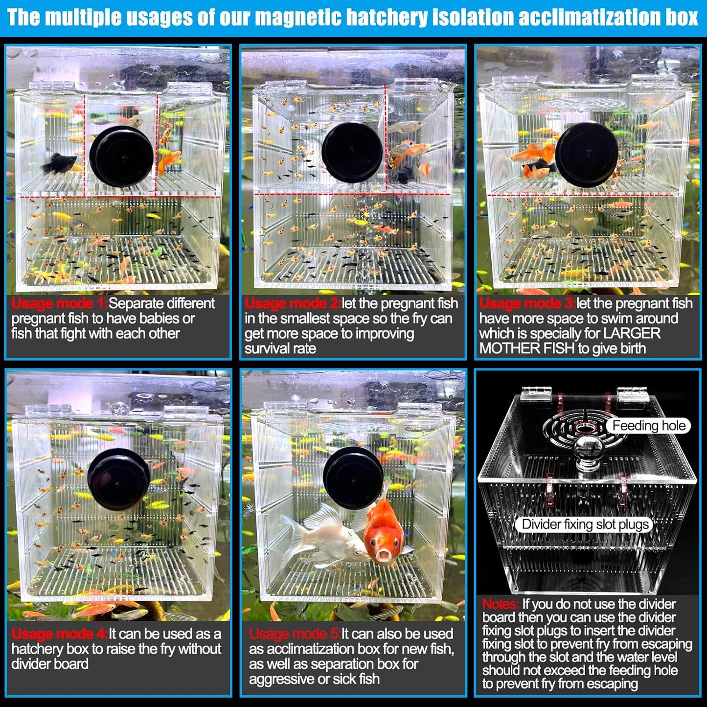 Magnetic Breeder Box for Tank Isolation Box Acclimation Hatchery Fish breeding Incubator with 3 Divider for Guppy Baby Betta Saltwater Anemones or Injured Fish（Sealed Bottom Version）
