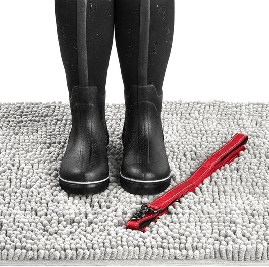 DogBuddy Dog Door Mat for Muddy Paws, Absorbent Microfiber Pet Rug, Waterproof Non-Slip Doormat, Washable Rugs for Dogs, Entryway Indoor Outdoor Mat, Dog Supplies (XL, Mist)