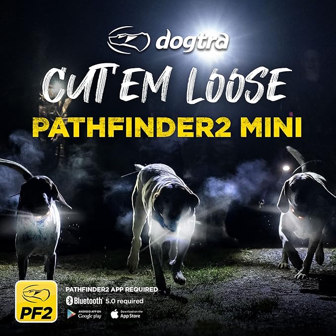 Dogtra Pathfinder 2 Mini GPS Dog Tracker e Collar 4 Mile Long Range LED Light No Monthly Fees Free App Waterproof Smartwatch Control Based Real Time Tracking Multiple Dogs Smartphone Required