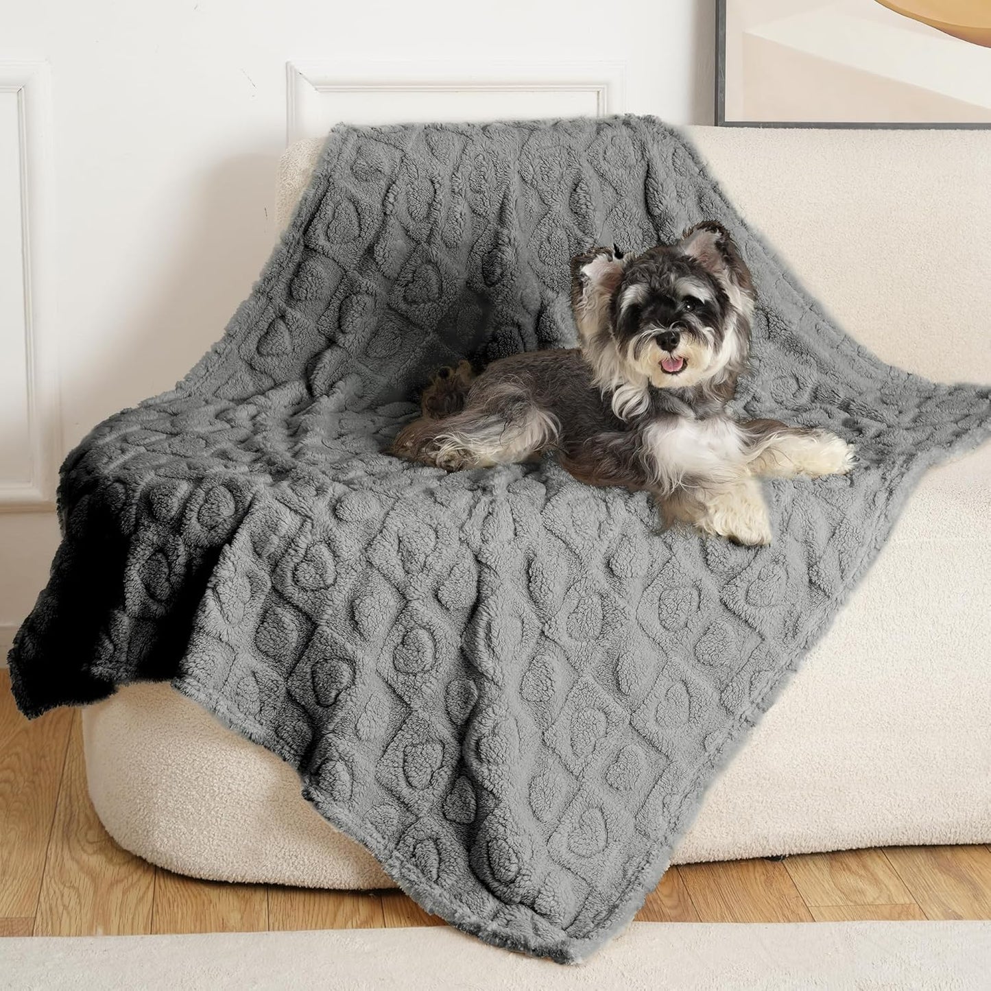 gogobunny Calming Plush Dog Cat Blanket 300GSM Coral Fleece, Ultra-Soft Machine Washable Pet Bedding for Small Medium Dogs Cats Puppies Kittens (Anthracite, 40x50)