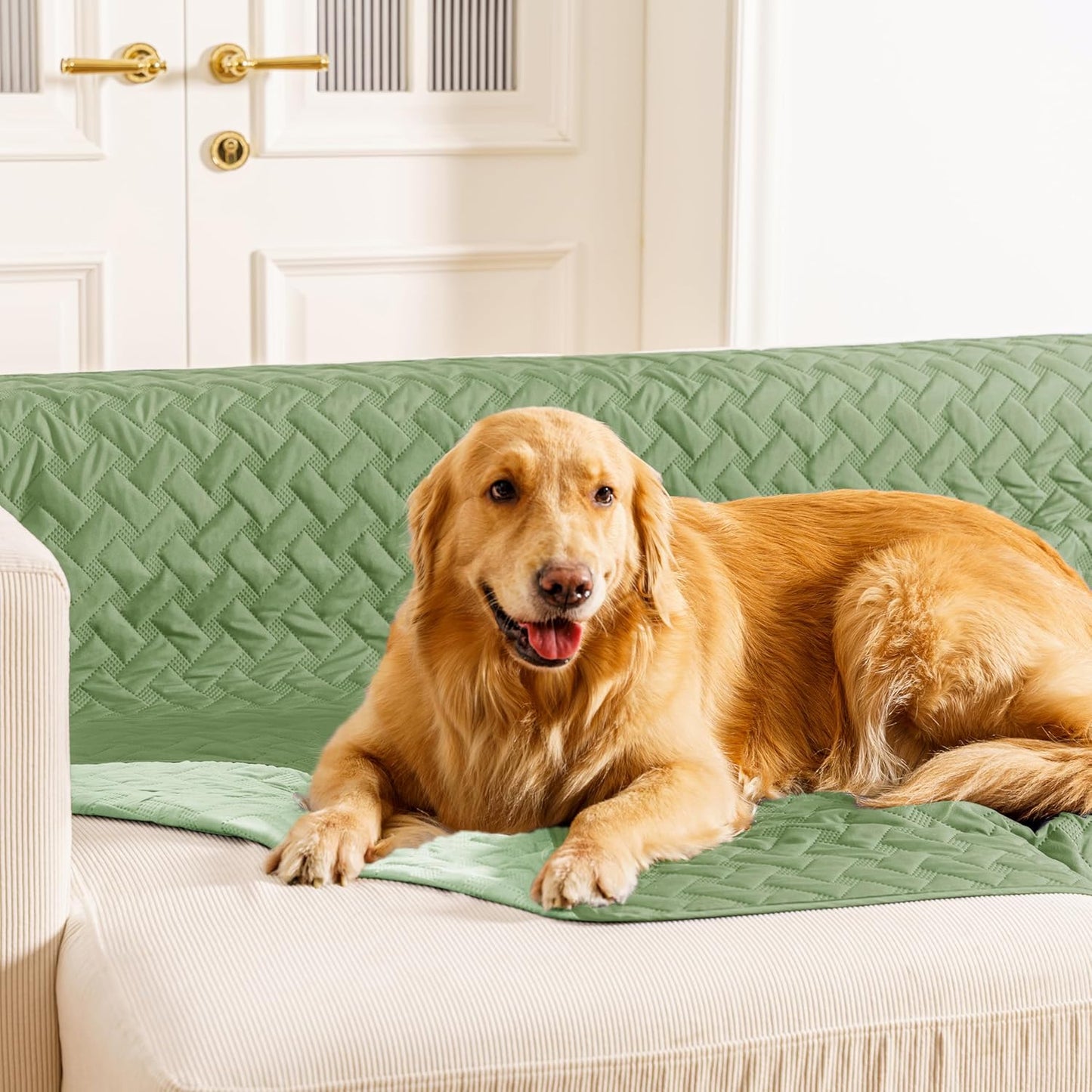 gogobunny 100% Double Sided Waterproof Dog Blanket Soft Pet Bed Cover Reversible Protect Furniture Couch Sofa Car for Puppy Cat Kids (Dark Green/Light Green, 30x30 Inch (Pack of 1))