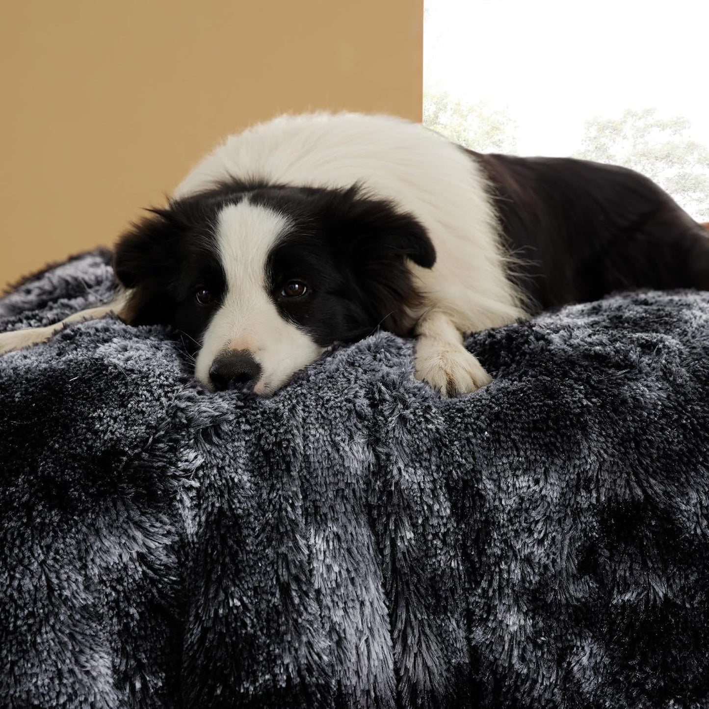 Bedsure Waterproof Dog Blankets for Large Dogs - Calming Cat Blanket for Couch Protector Washable, Long Faux Fur Pet Throw Blanket for Puppy, Reversible Furniture Protection, 50"x60", Tie-dye Black