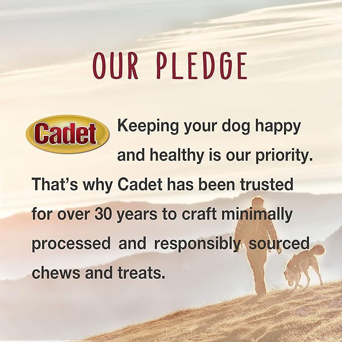 Cadet Gourmet Duck Breast Jerky Dog Treats, Healthy, Long-Lasting High-Protein Training Treats for Small & Large Dogs, 14 oz.