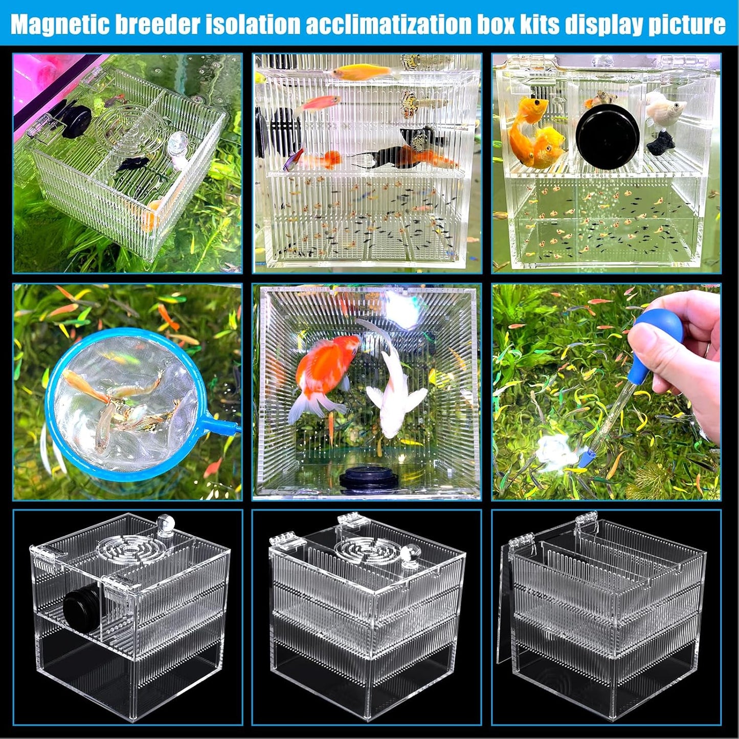 Magnetic Breeder Box for Tank Isolation Box Acclimation Hatchery Fish breeding Incubator with 3 Divider for Guppy Baby Betta Saltwater Anemones or Injured Fish（Sealed Bottom Version）
