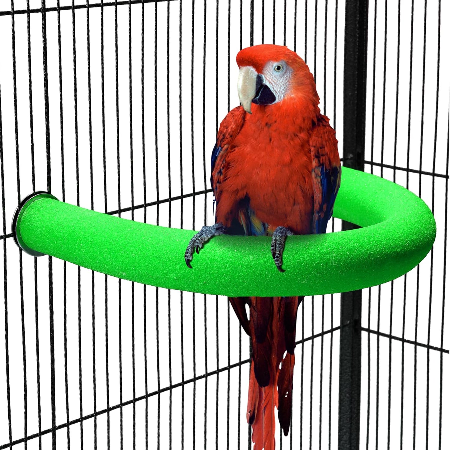U Shape Parrot Perch Stand Toy Bird Platform Sand Paw Grinding Clean Stick Exercise Conure Budgie Cockatiel Cage Accessories (Green)