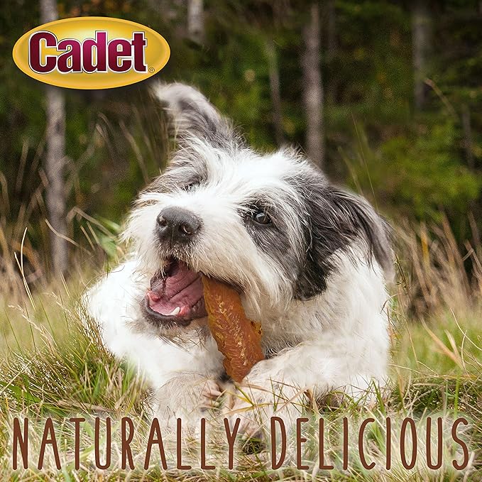 Cadet Gourmet Chicken Breast Dog Treats