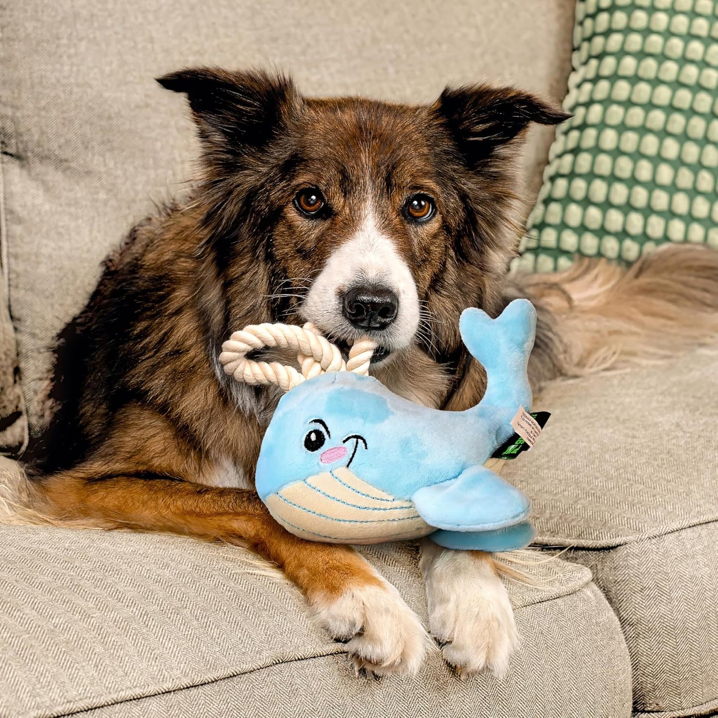 Dog Toys | Plush Whale Stuffed Animal with Rope for Dogs | Eco Friendly Toy - Easy to Clean and Made from Non Toxic Materials