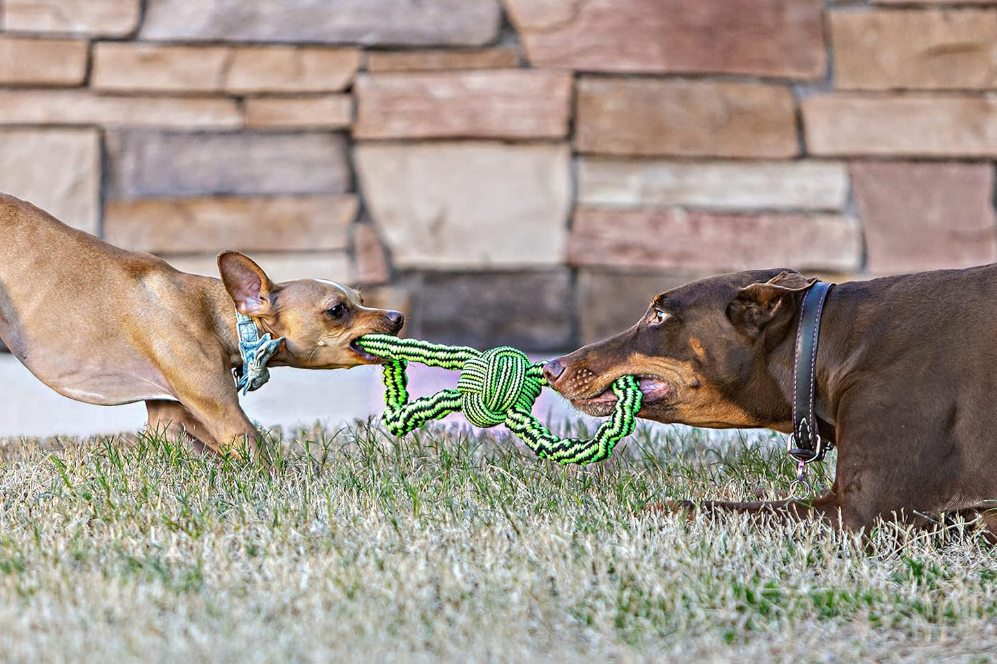 Jolly Pets Knot-N-Chew Small/Medium Gentle Tugger (Pack of 2)