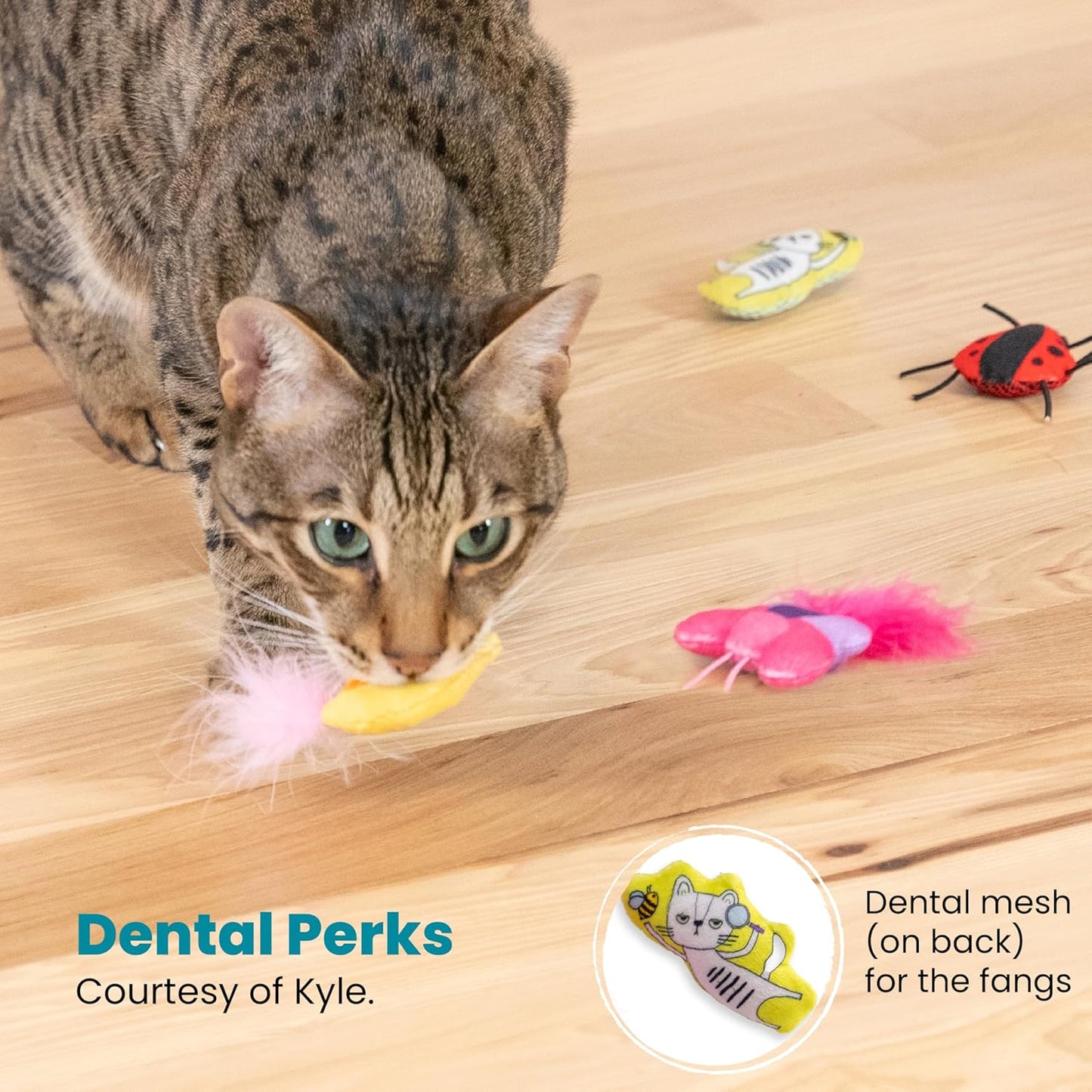 Catstages Cute as a Bug Cat Toys, 6-Pack Interactive Catnip Plush Toys with Crinkle, Feathers & Dental Mesh, Multicolored